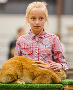 Best Bengal Breeders in Texas