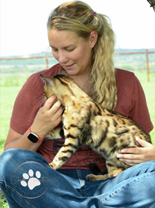 Best Bengal Breeders in Texas