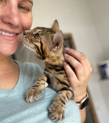 Bengal Kittens for sale near me