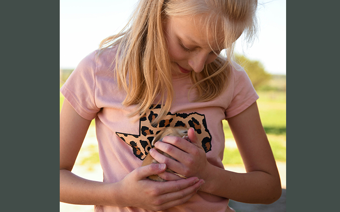 baby bunnies for sale near me in texas dallas fort worth bunnies as pet